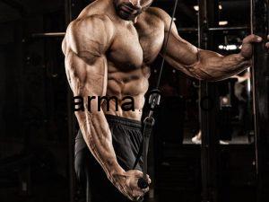 musculacao
